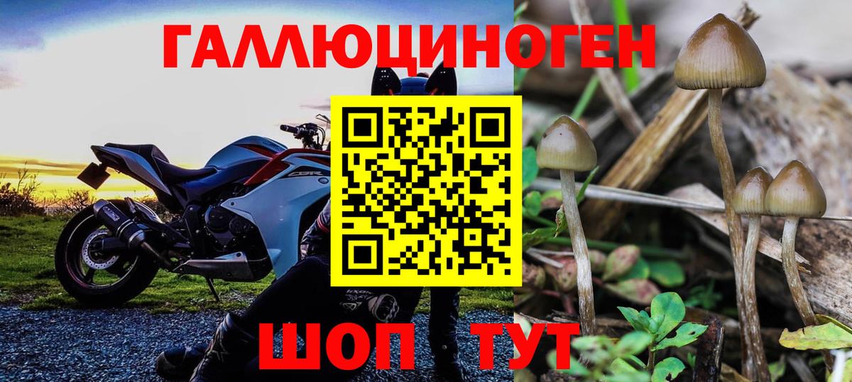 Псилоцибиновые грибы прущие грибы Златоуст
